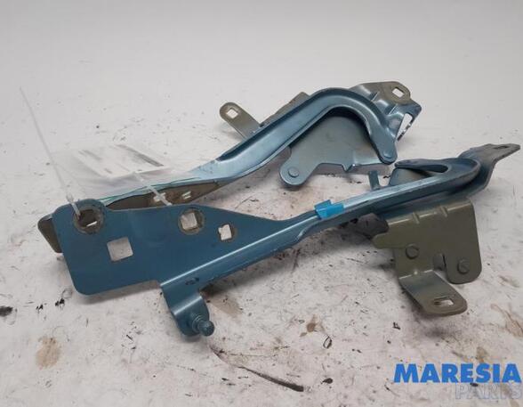 Bonnet Hinge RENAULT Grand Scénic III (JZ0/1), RENAULT Scénic III (JZ0/1)