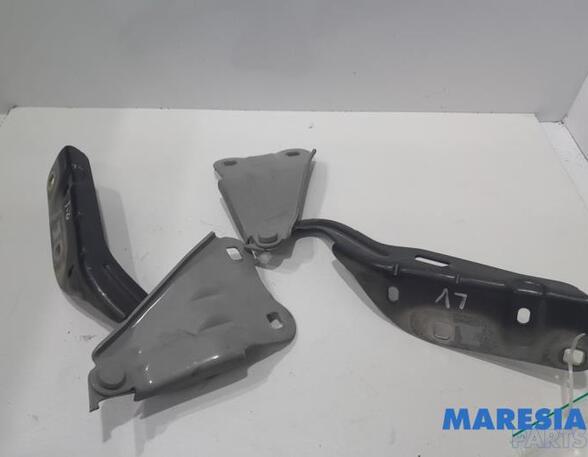 Bonnet Hinge RENAULT TWINGO II (CN0_)