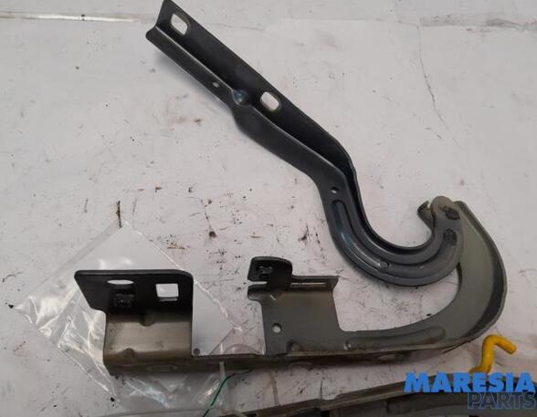 Bonnet Hinge PEUGEOT 3008 MPV (0U_)