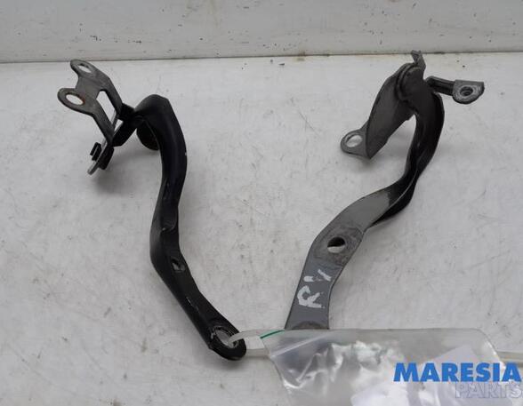 Bonnet Hinge CITROËN C1 (PM_, PN_), PEUGEOT 107 (PM_, PN_)