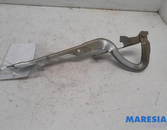 Bonnet Hinge PEUGEOT 208 I (CA_, CC_)