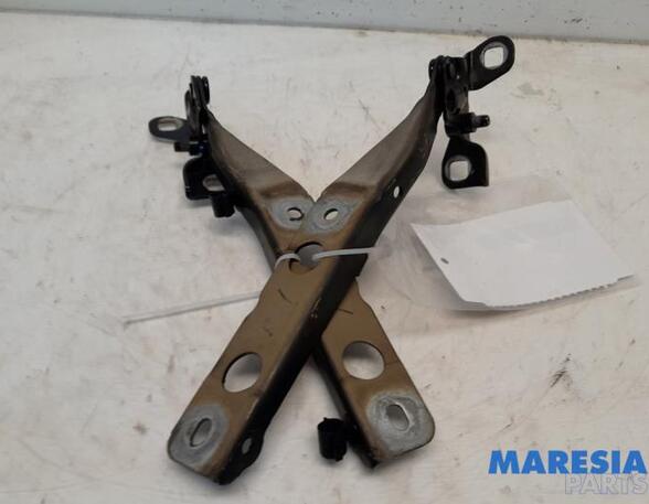 Bonnet Hinge CITROËN C4 GRAND PICASSO II (DA_, DE_)