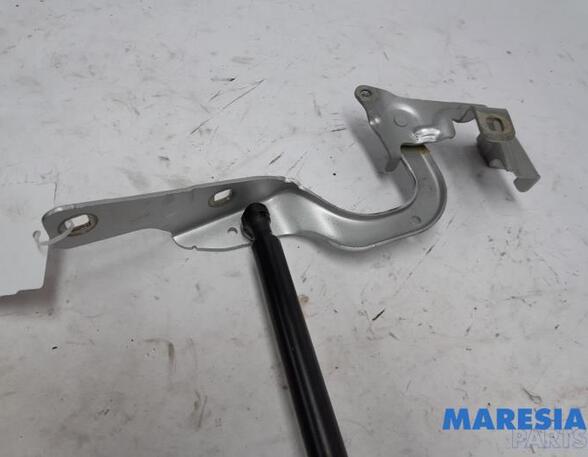 Bonnet Hinge RENAULT CAPTUR I (J5_, H5_), RENAULT CLIO IV (BH_)