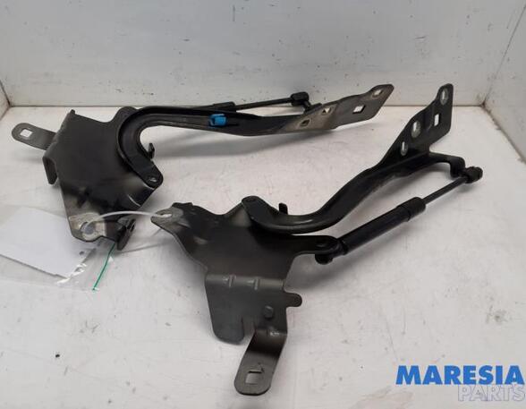 Bonnet Hinge RENAULT SCÉNIC III (JZ0/1_), RENAULT GRAND SCÉNIC III (JZ0/1_)