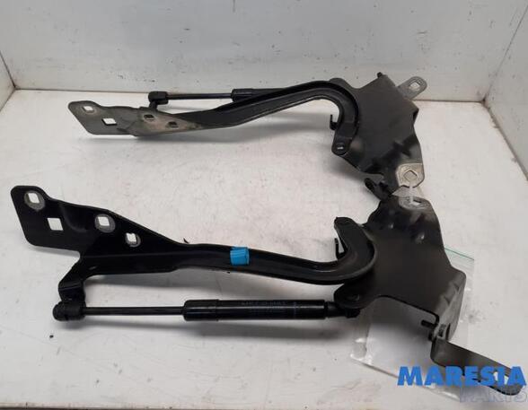 Bonnet Hinge RENAULT SCÉNIC III (JZ0/1_), RENAULT GRAND SCÉNIC III (JZ0/1_)