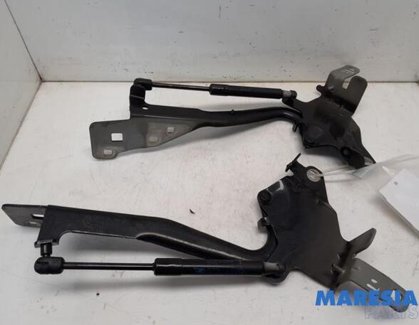 Bonnet Hinge RENAULT SCÉNIC III (JZ0/1_), RENAULT GRAND SCÉNIC III (JZ0/1_)