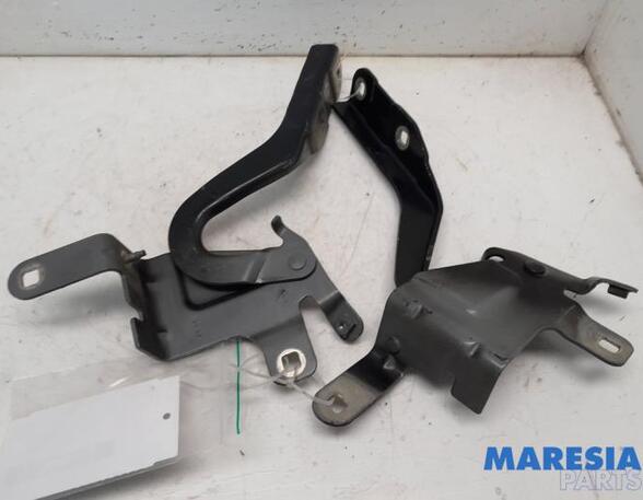 Bonnet Hinge RENAULT CLIO IV Grandtour (KH_), RENAULT CAPTUR I (J5_, H5_), RENAULT CLIO IV (BH_)