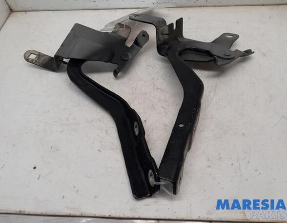 Bonnet Hinge RENAULT CLIO IV Grandtour (KH_), RENAULT CAPTUR I (J5_, H5_), RENAULT CLIO IV (BH_)