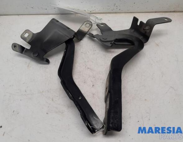 Bonnet Hinge RENAULT CLIO IV Grandtour (KH_), RENAULT CAPTUR I (J5_, H5_), RENAULT CLIO IV (BH_)