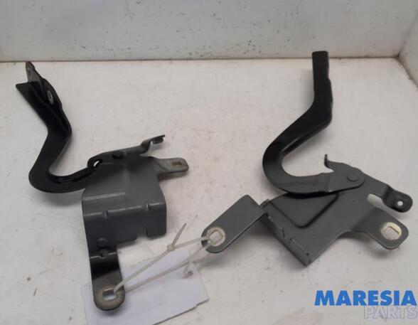 Bonnet Hinge RENAULT CLIO IV Grandtour (KH_), RENAULT CAPTUR I (J5_, H5_), RENAULT CLIO IV (BH_)