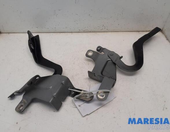 Bonnet Hinge RENAULT CLIO IV Grandtour (KH_), RENAULT CAPTUR I (J5_, H5_), RENAULT CLIO IV (BH_)