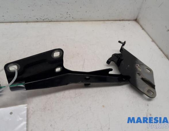 Bonnet Hinge RENAULT MEGANE III Grandtour (KZ0/1)