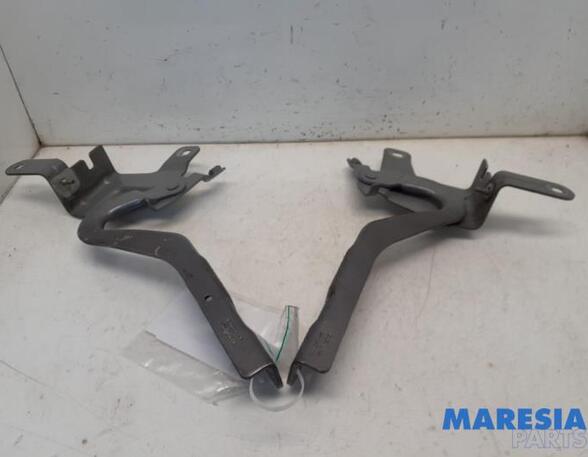 Bonnet Hinge RENAULT CLIO IV Grandtour (KH_), RENAULT CAPTUR I (J5_, H5_), RENAULT CLIO IV (BH_)