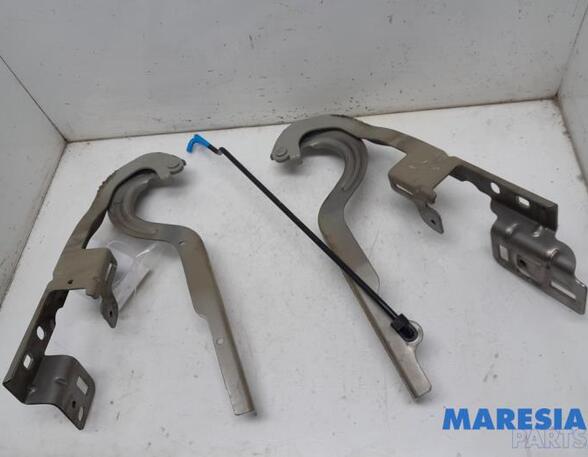 Bonnet Hinge PEUGEOT 5008 (0U_, 0E_)