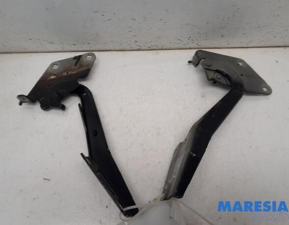 Bonnet Hinge RENAULT MEGANE III Coupe (DZ0/1_)