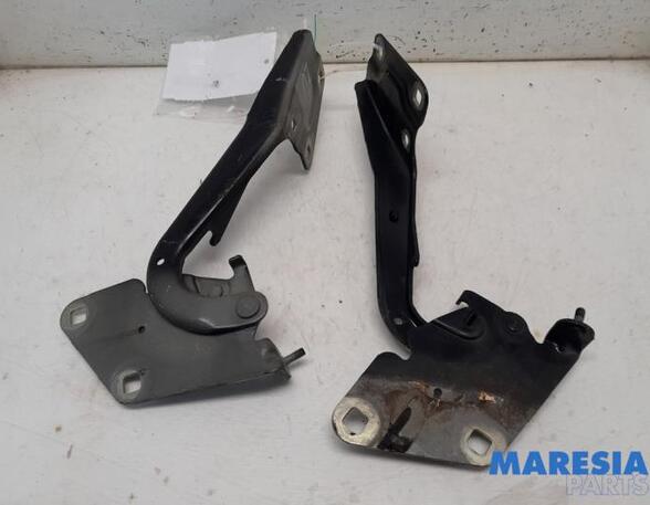 Bonnet Hinge RENAULT MEGANE III Coupe (DZ0/1_)