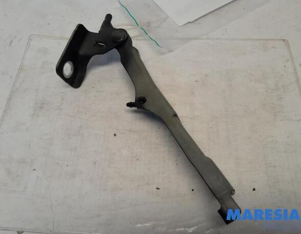 Bonnet Hinge CITROËN C3 II (SC_), CITROËN DS3, CITROËN C3 III (SX), DS DS 3 (SA_)