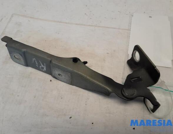 Bonnet Hinge CITROËN C3 II (SC_), CITROËN DS3, CITROËN C3 III (SX), DS DS 3 (SA_)