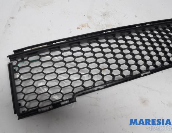 Radiator Grille FIAT 500 (312_), FIAT 500 C (312_)