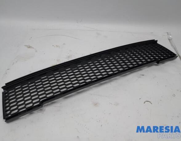 Radiator Grille FIAT 500 (312_), FIAT 500 C (312_)