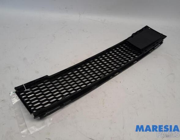 Radiator Grille FIAT 500 (312_), FIAT 500 C (312_)