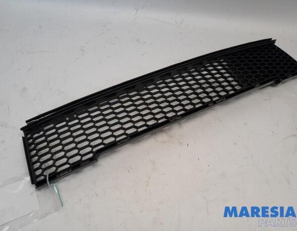 Radiator Grille FIAT 500 (312_), FIAT 500 C (312_)