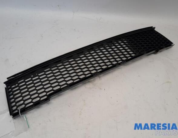 Radiator Grille FIAT 500 (312_), FIAT 500 C (312_)