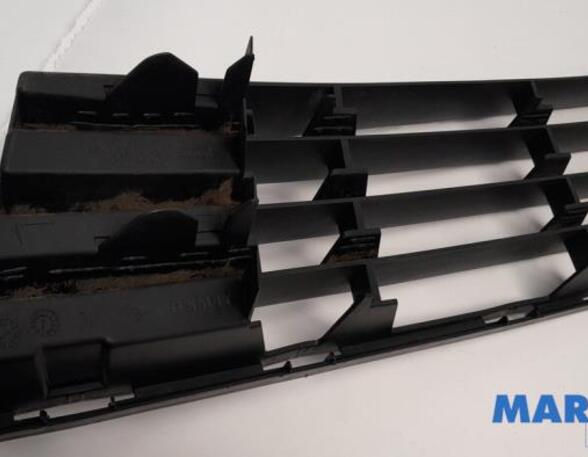 Radiator Grille RENAULT CLIO III (BR0/1, CR0/1), RENAULT CLIO II (BB_, CB_), RENAULT CLIO IV (BH_)