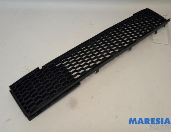 Radiator Grille FIAT 500 (312_), FIAT 500 C (312_)