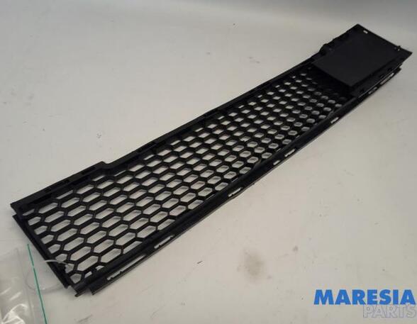 Radiateurgrille FIAT 500 (312_), FIAT 500 C (312_)