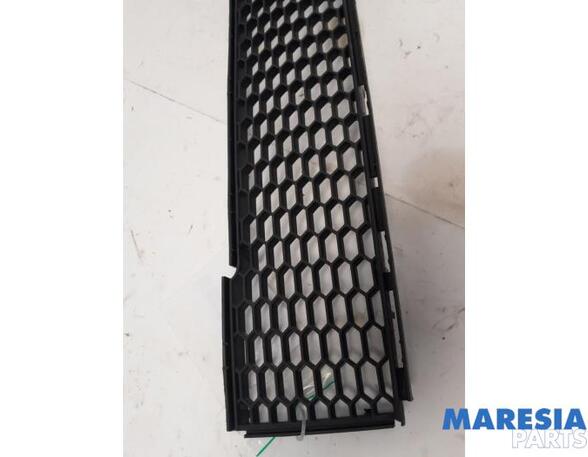 Radiator Grille FIAT 500 (312_), FIAT 500 C (312_)