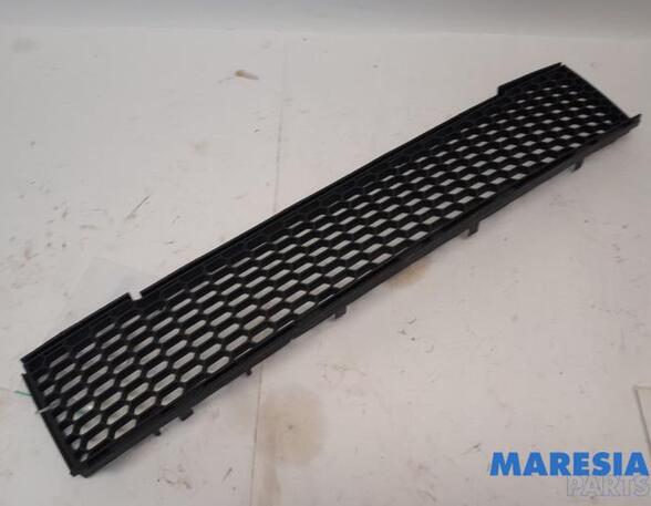 Radiator Grille FIAT 500 (312_), FIAT 500 C (312_)