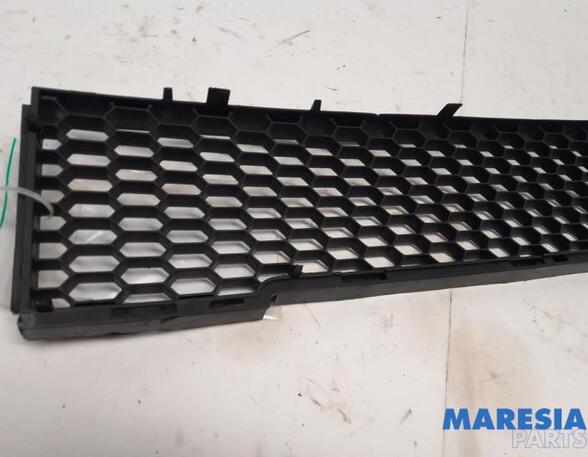 
Kühlergrill Fiat 500 C 312 735425618 P21308129
