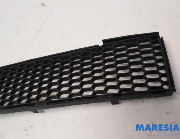 Radiator Grille FIAT 500 (312_), FIAT 500 C (312_)