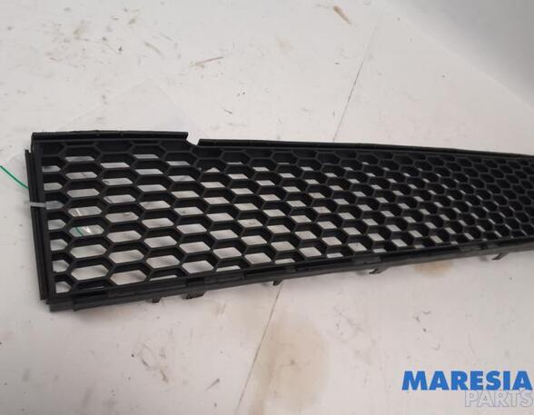 Radiateurgrille FIAT 500 (312_), FIAT 500 C (312_)