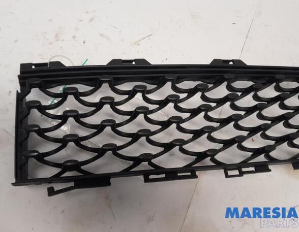 Radiator Grille FIAT 500 (312_), FIAT 500 C (312_), ABARTH 500 / 595 / 695 (312_), ABARTH 500C / 595C / 695C (312_)