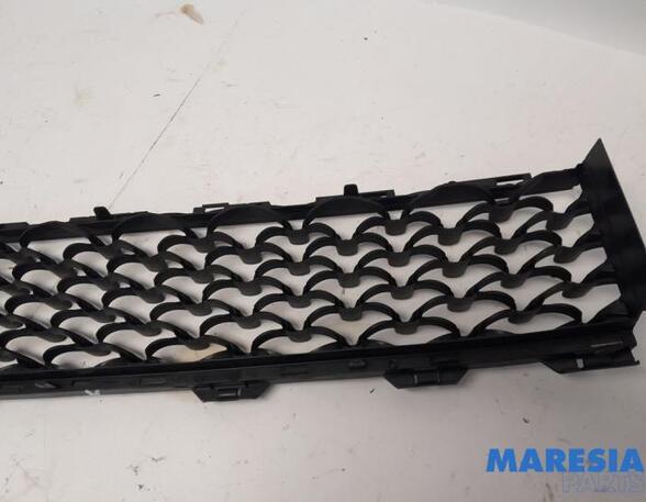 Radiator Grille FIAT 500 (312_), FIAT 500 C (312_), ABARTH 500 / 595 / 695 (312_), ABARTH 500C / 595C / 695C (312_)