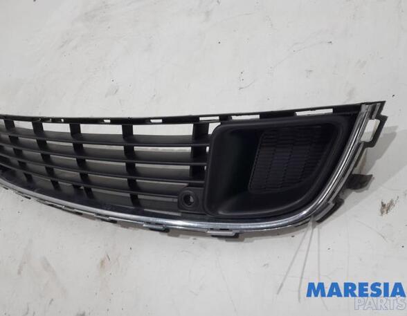 Radiator Grille CITROËN C5 III (RD_), CITROËN C5 III Break (RW_)