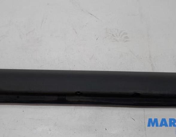 Sill Trim FIAT PANDA (169_)