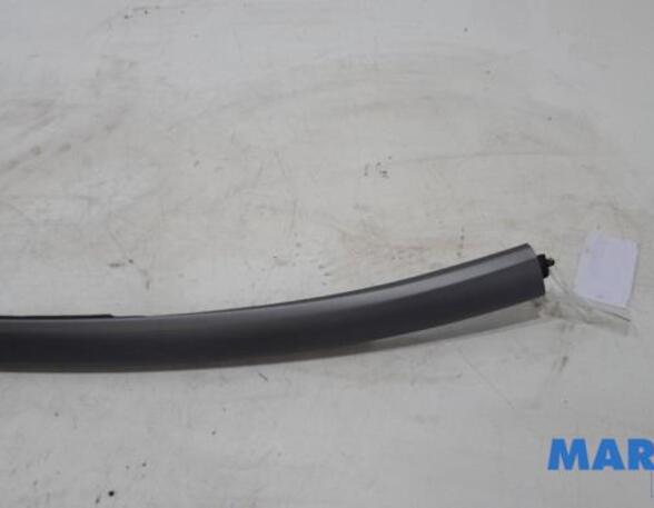 Trim Strip Bumper CITROËN C4 GRAND PICASSO I (UA_)