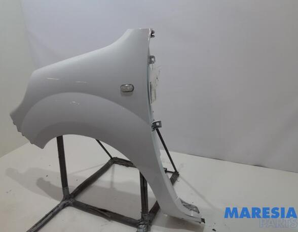 Spatbord RENAULT KANGOO Express (FW0/1_), RENAULT KANGOO / GRAND KANGOO (KW0/1_)