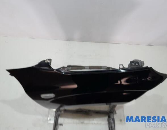 Spatbord FIAT Panda (312, 319), LANCIA Ypsilon (312_), FIAT Panda Van (312, 519)