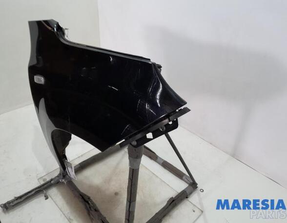 Spatbord FIAT Panda (312, 319), LANCIA Ypsilon (312_), FIAT Panda Van (312, 519)