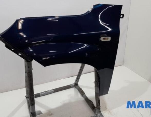 Spatbord FIAT PANDA (312_, 319_), FIAT PANDA VAN (312_, 519_), LANCIA YPSILON (312_)