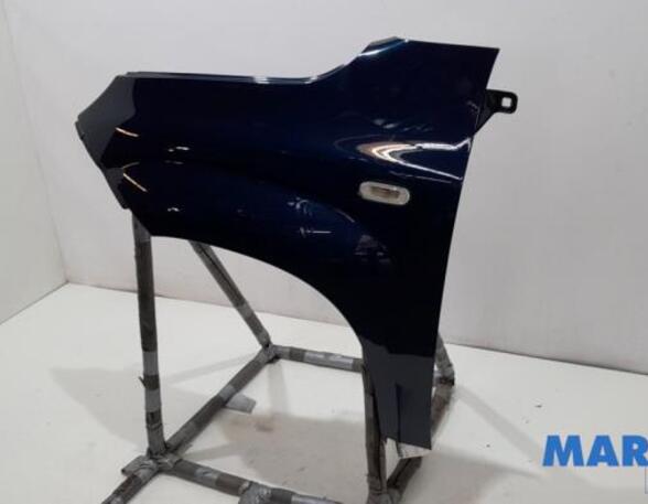 Spatbord FIAT PANDA (312_, 319_), FIAT PANDA VAN (312_, 519_), LANCIA YPSILON (312_)