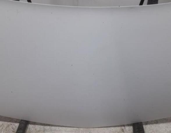 Bonnet RENAULT KANGOO Express (FW0/1_), RENAULT KANGOO / GRAND KANGOO (KW0/1_)