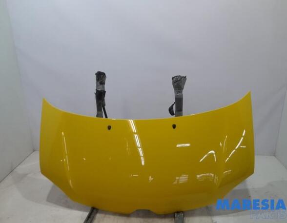 Motorhaube Renault Twingo III BCM 651004005R P20591701