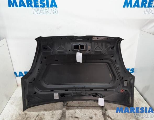 Motorkap FIAT DOBLO Cargo (263_), FIAT DOBLO MPV (263_), FIAT DOBLO Platform/Chassis (263_)