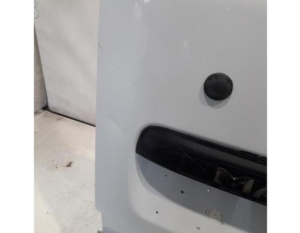 Rear Door RENAULT Master III Kasten (FV)