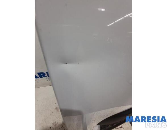 Rear Door RENAULT Master III Kasten (FV)